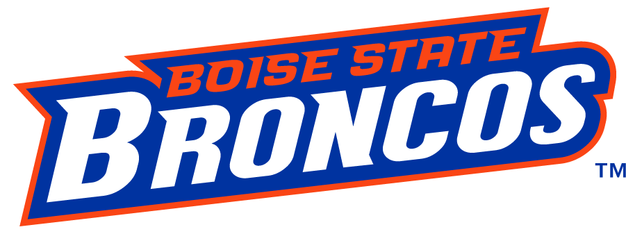 Boise State Broncos 2012-2013 Wordmark Logo v2 iron on transfers for T-shirts